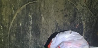 Can abandonado en Lugo no lixo | Europa Press
