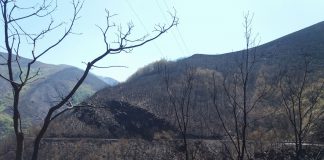 A Tebaida berciana tralo incendio de 2017 | BAL