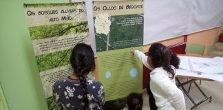 A Deputación facilita paneis para as clases guiadas sobre as Insuas do Miño e os Ollos de Begonte | Deputación de Lugo