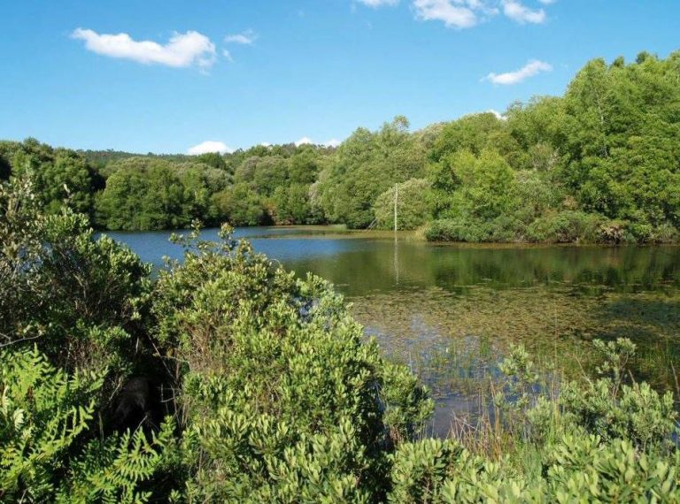 Os lagos de Lousada, en Xermade , convértense no segundo Espazo Privado de Interese Natural de Galicia