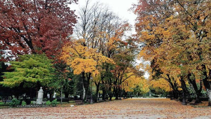 O Parque Rosalía de Castro, especialmente espectacular nos meses de outono (Guido Álvarez Parga)