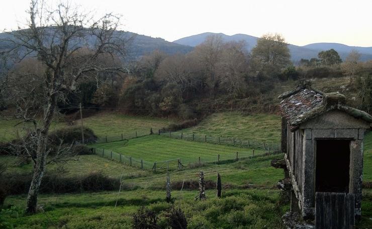 Lugo é a provincia española que máis terras agrícolas vai perder nos próximos dez anos