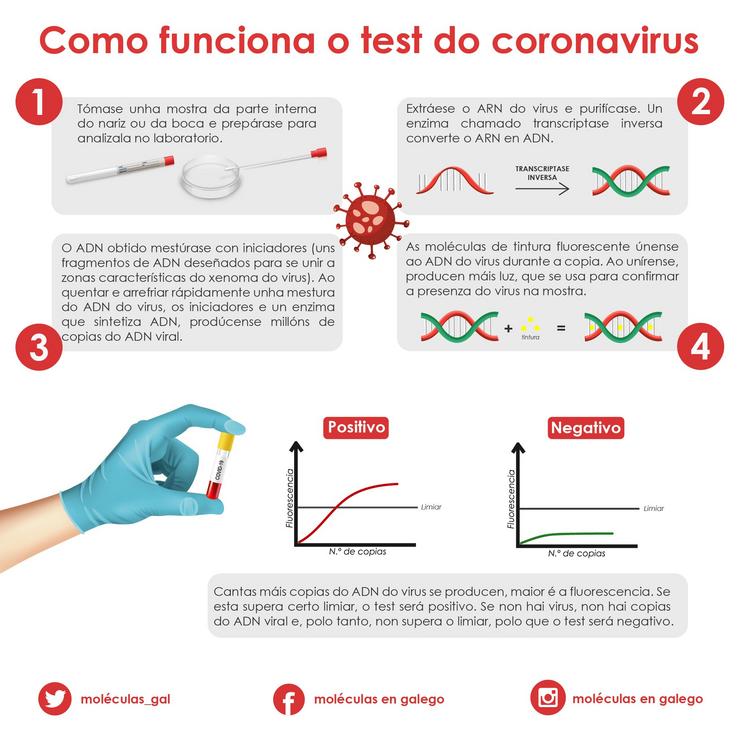 Descubre como funcionan os test do coronavirus