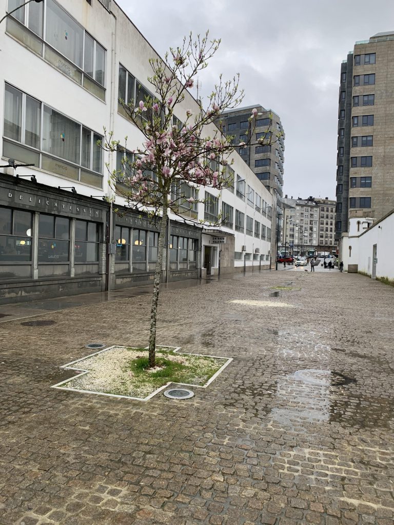 O PP pide unha reparación en profundidade e periódica das rúas empedradas de Lugo