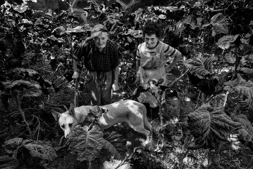 "Lidia e Celestino na súa horta. Fotografías realizadas para o proxecto A Praza de Abastos" (Adra Pallón)