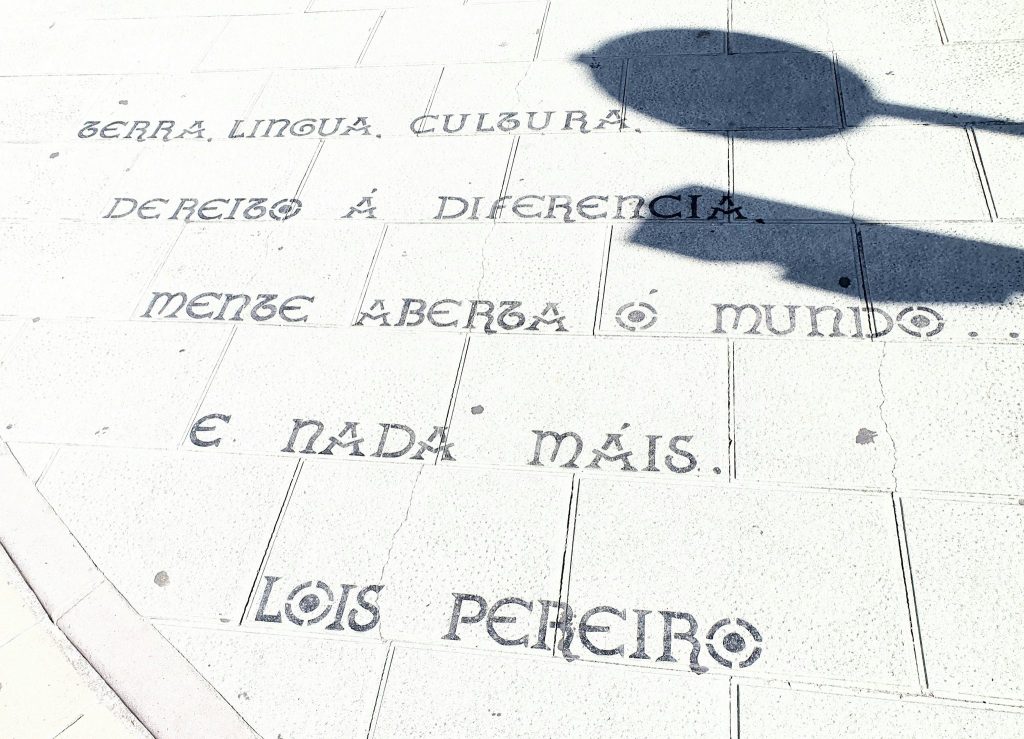 Proxecto de lettering literario de Iago Eireos, promovido por Cultura e Turismo de Lugo (Foto: Guido Álvarez Parga)