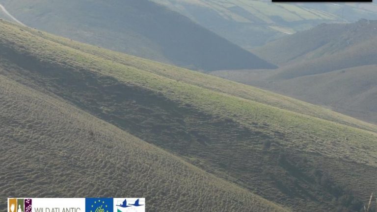 A USC, único socio internacional dun programa europeo para a conservación das turbeiras
