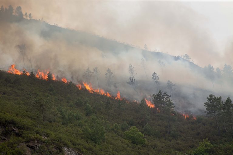 Extinguido o incendio de Folgoso tras arrasar 185 hectáreas