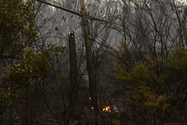 Controlado o incendio da Fonsagrada, que afecta a 65 hectáreas