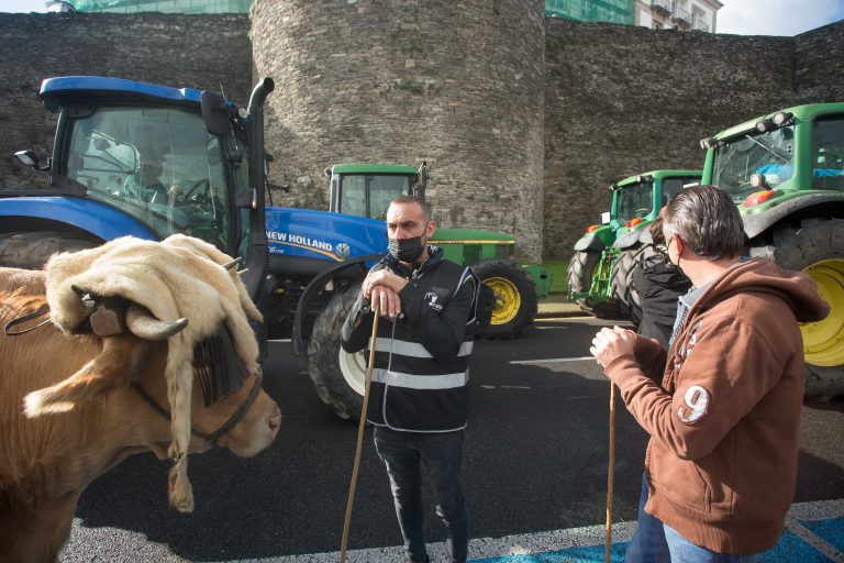 Mobilizacións en Vilalba e Outeiro de Rei para o vindeiro xoves para pedir “prezos xustos” para o leite