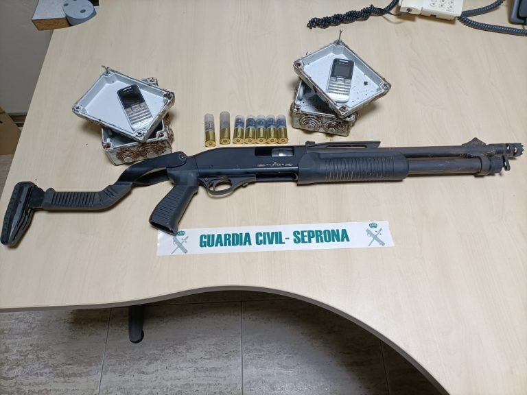 Investigado un veciño de Castroverde por cazar xabaríns con munición prohibida