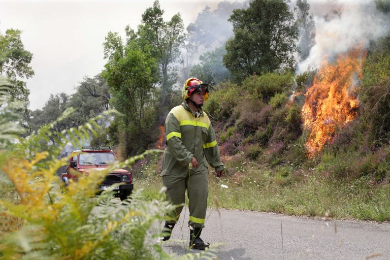 Piden tres anos de cárcere para un veciño de Vilalba que provocou un incendio forestal en 2017