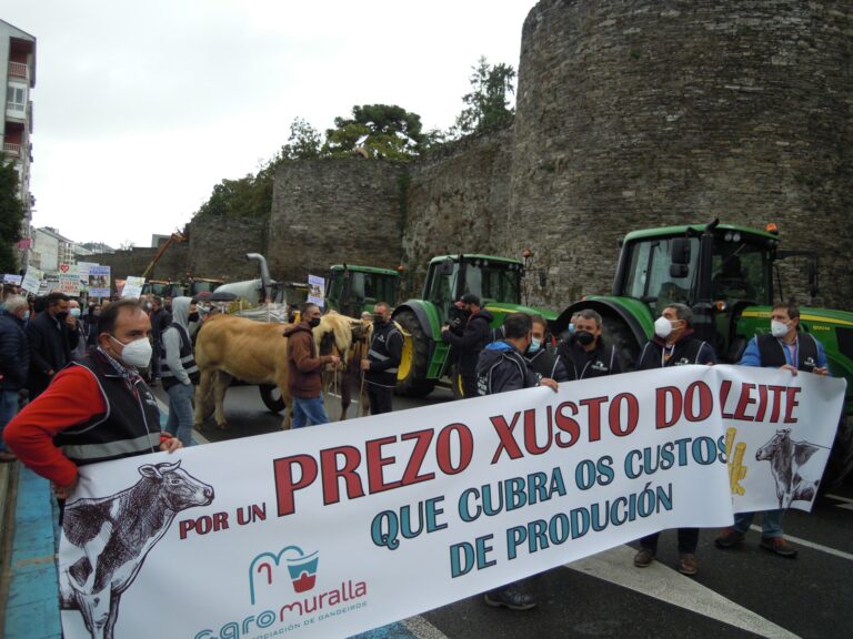 Convocada unha manifestación para o martes dos produtores de carne polos “prezos baixos e altos custes”