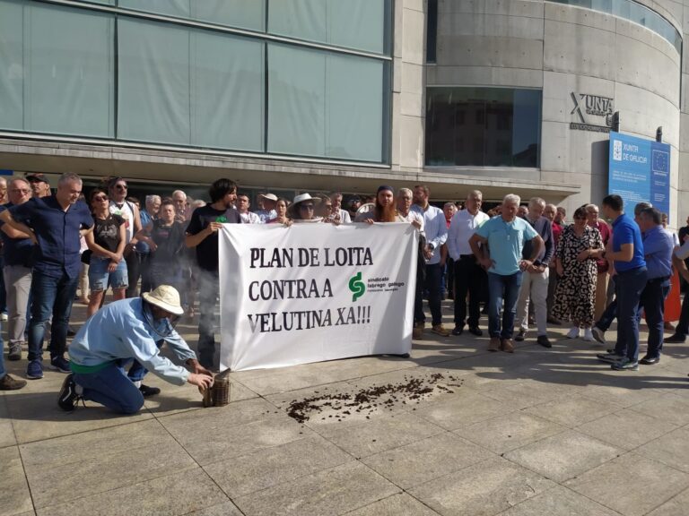 Concentración en Lugo do SLG pedindo un plan contra a velutina pola súa “expansión incontrolable”