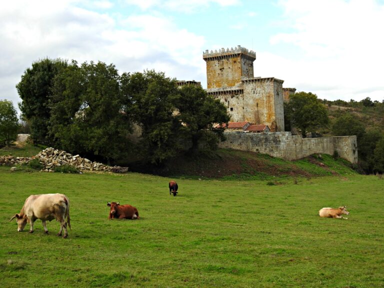 O castelo de Pambre, en Palas de Rei (Foto: Lugo Xornal)
