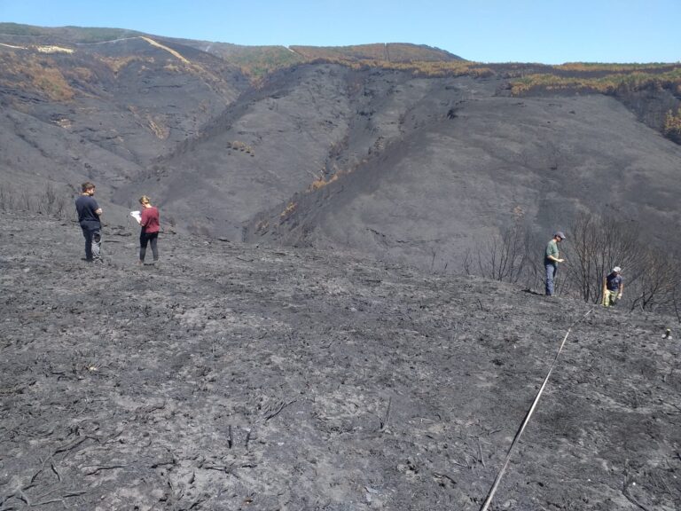 A Fundación Reina Sofía realizará unha restauración forestal na Serra do Courel, afectada polos incendios de 2022
