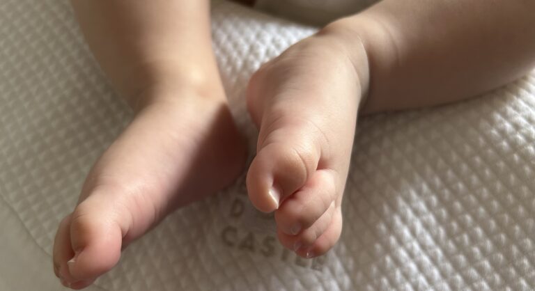 Os xulgados de Lugo poñen en marcha unha nova campaña solidaria de alimentos para bebés