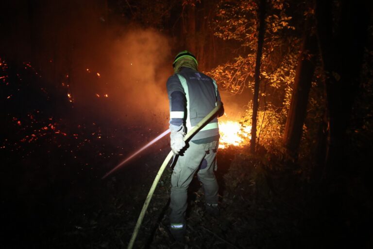 Extinguido o incendio forestal e de Pantón que calcinou 31 hectáreas