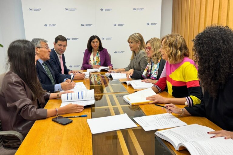 O PP de Lugo celebra o “compromiso” da Xunta coa provincia reflectido nos orzamentos