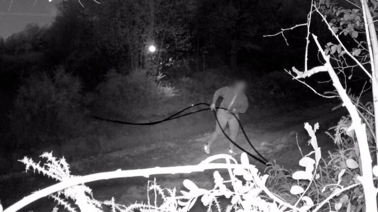 Rouban cable de cobre no interior do aeródromo de Rozas