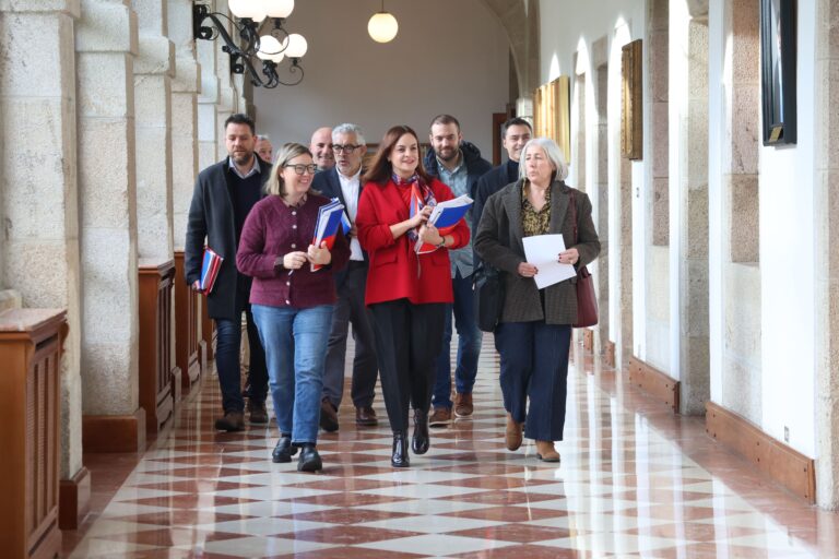 A Deputación demanda a defensa dos intereses dos gandeiros ante o acordo con Mercosur