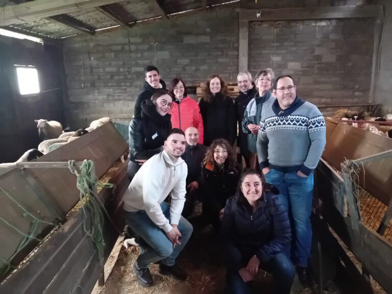 A Vicepresidencia da Deputación financia un programa sobre gando ovino e cabrún