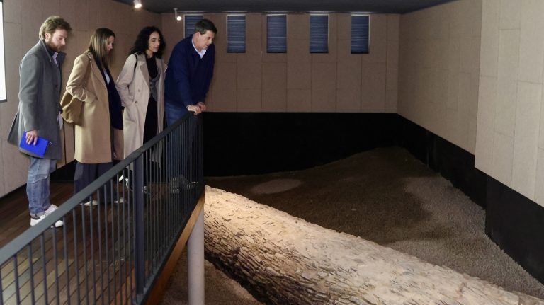 Besteiro reclama o Museo da Romanización de Lugo como proxecto estratéxico para Galicia