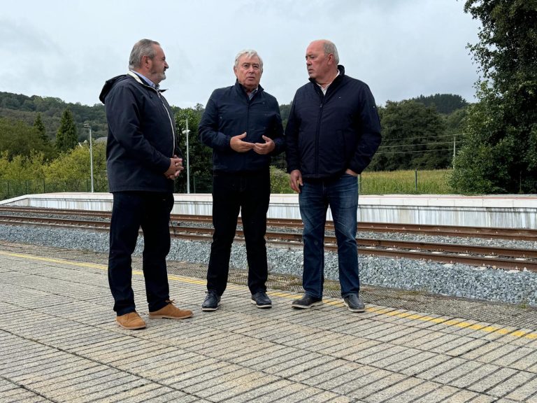 O PP critica que o Goberno “non ten data para a electrificación da liña de tren Lugo-Monforte”