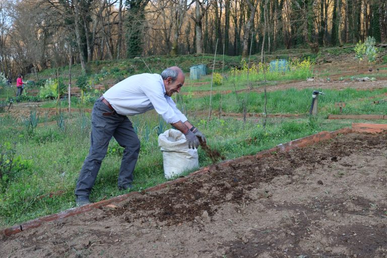 O paseo do Río Rato, un verxel con 155 hortos urbanos en pleno centro de Lugo