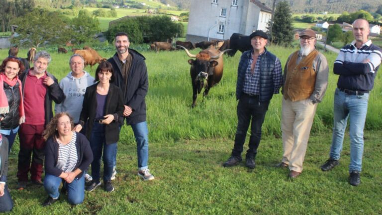 Nova liña de apoio ás razas autóctonas galegas desde a Vicepresidencia da Deputación