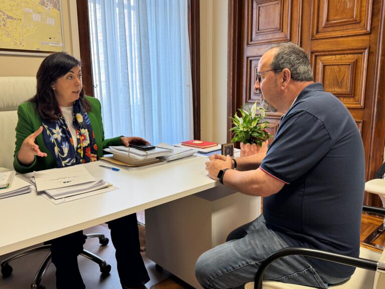 O Concello de Lugo pide axilidade á Deputación na renovación da avenida Adolfo Suárez