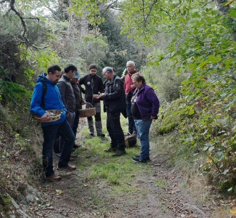 Xornada micolóxica no Piornedo da man da Deputación para coñecer o mundo dos fungos